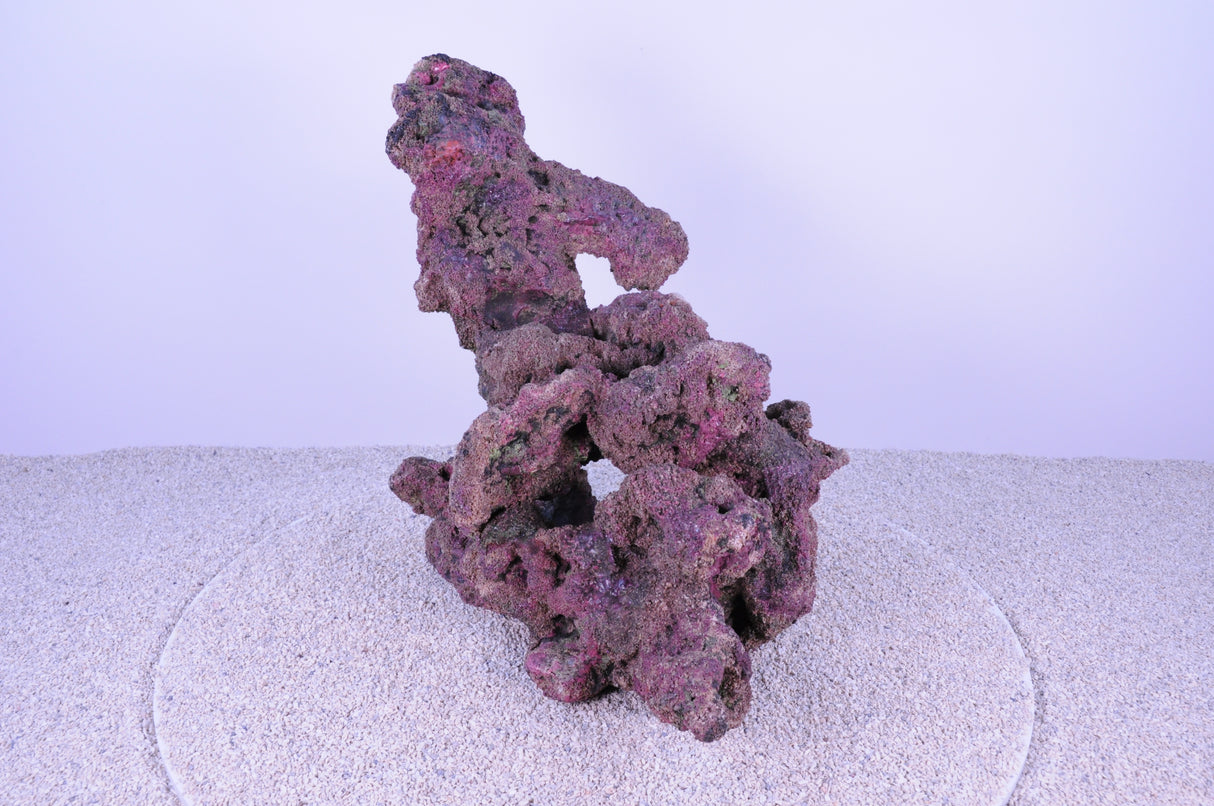 Indo Reef Large Box 1