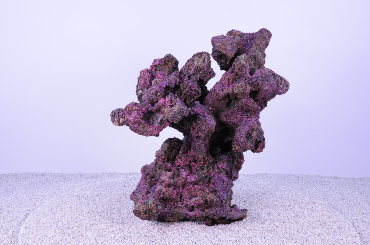 Indo Reef Large Box 1