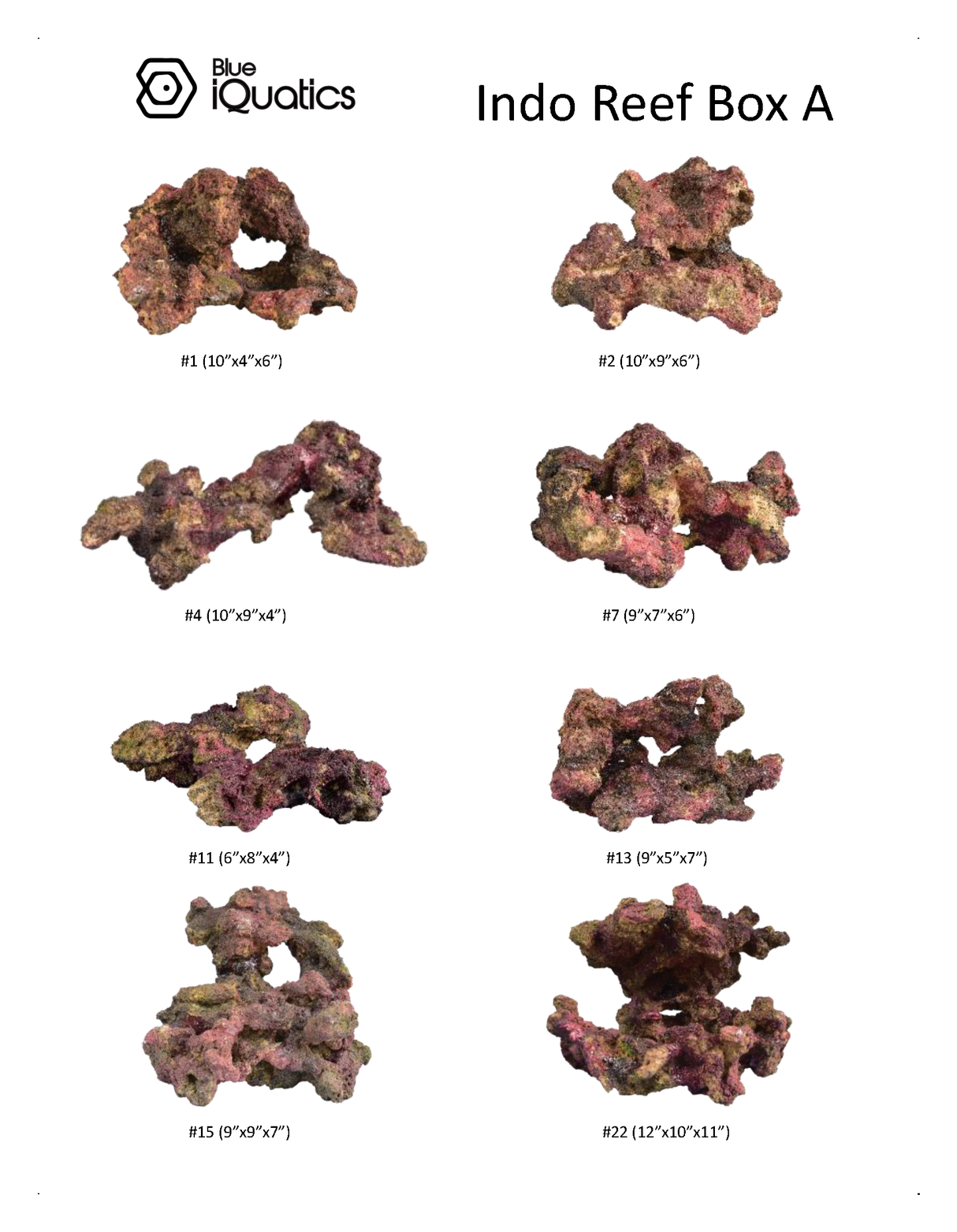 Indo Reef Box A