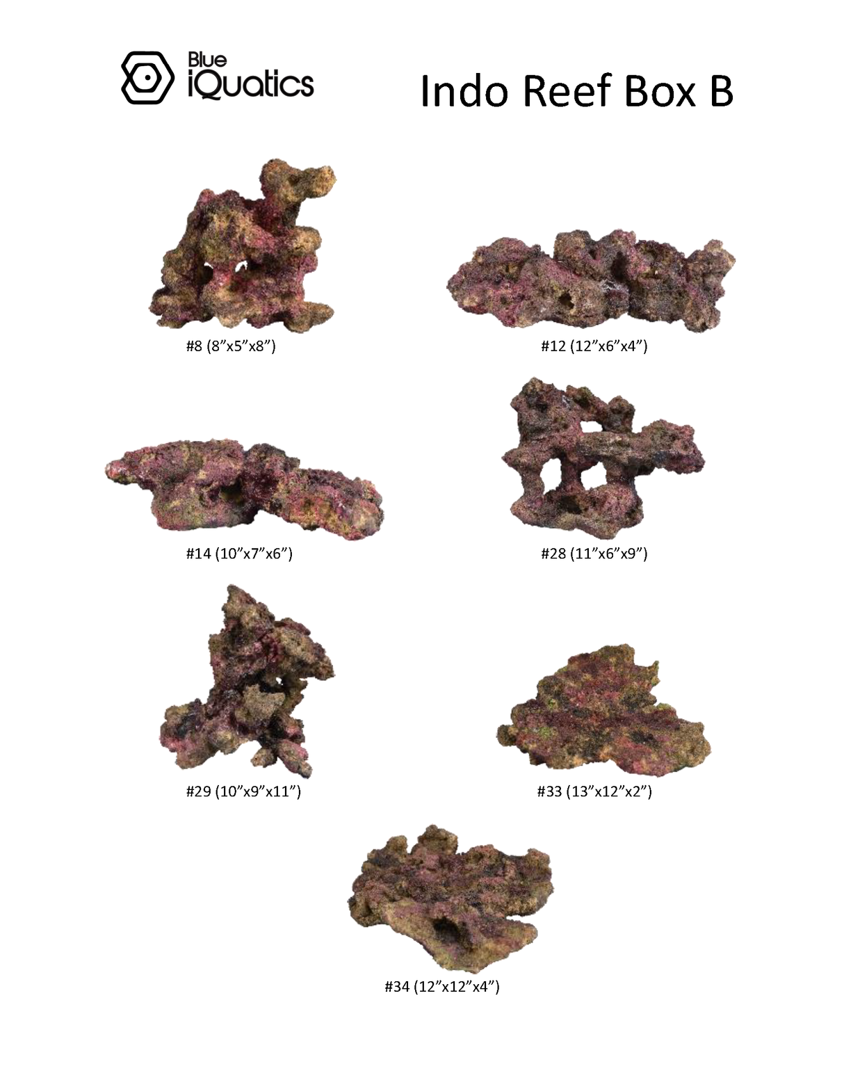Indo Reef Box B