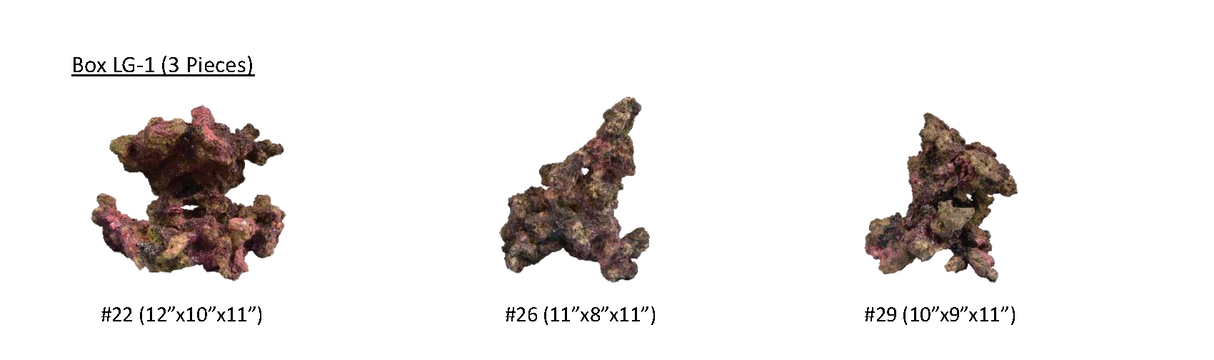 Indo Reef Large Box 1