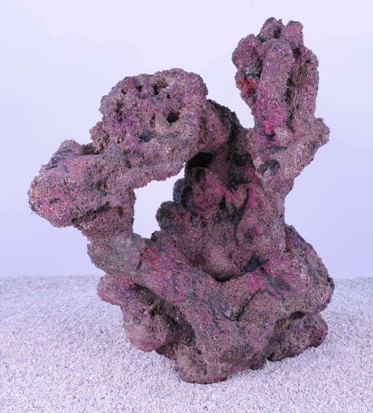 Indo Reef Large Box 2
