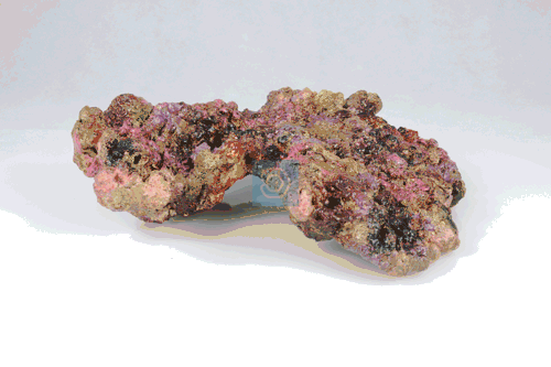 Live Rock Replica #41