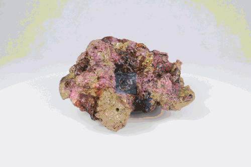 Live Rock Replica #52