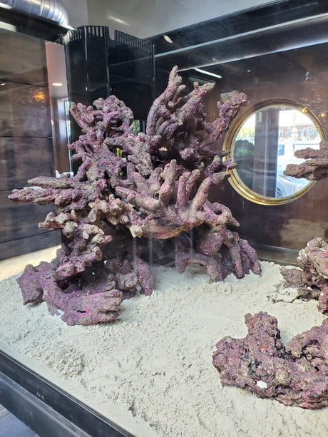 Custom Aquascapes