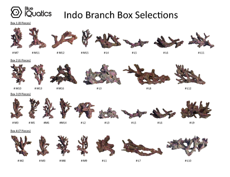 Indo Branch