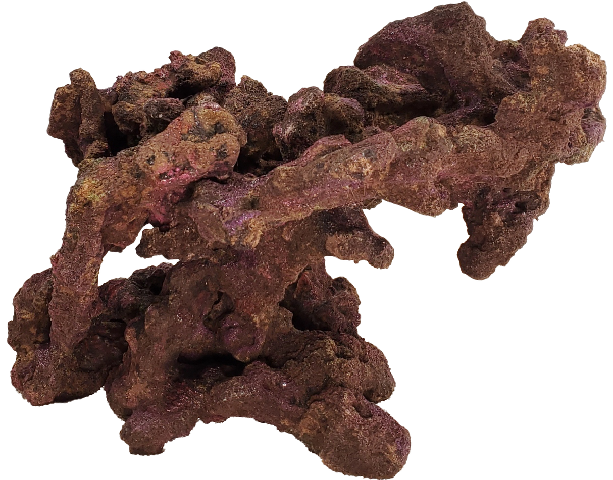 Indo Reef Reach Medium