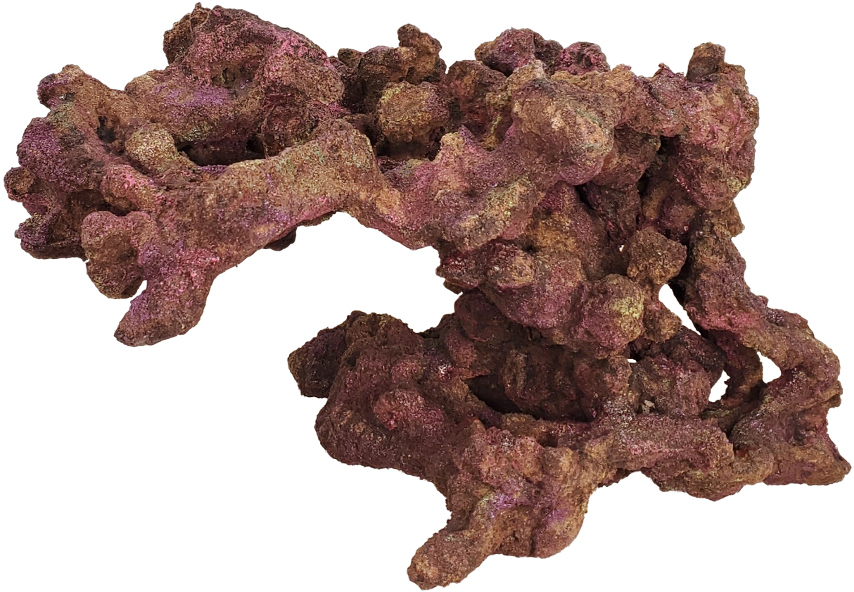 Indo Reef Reach Medium