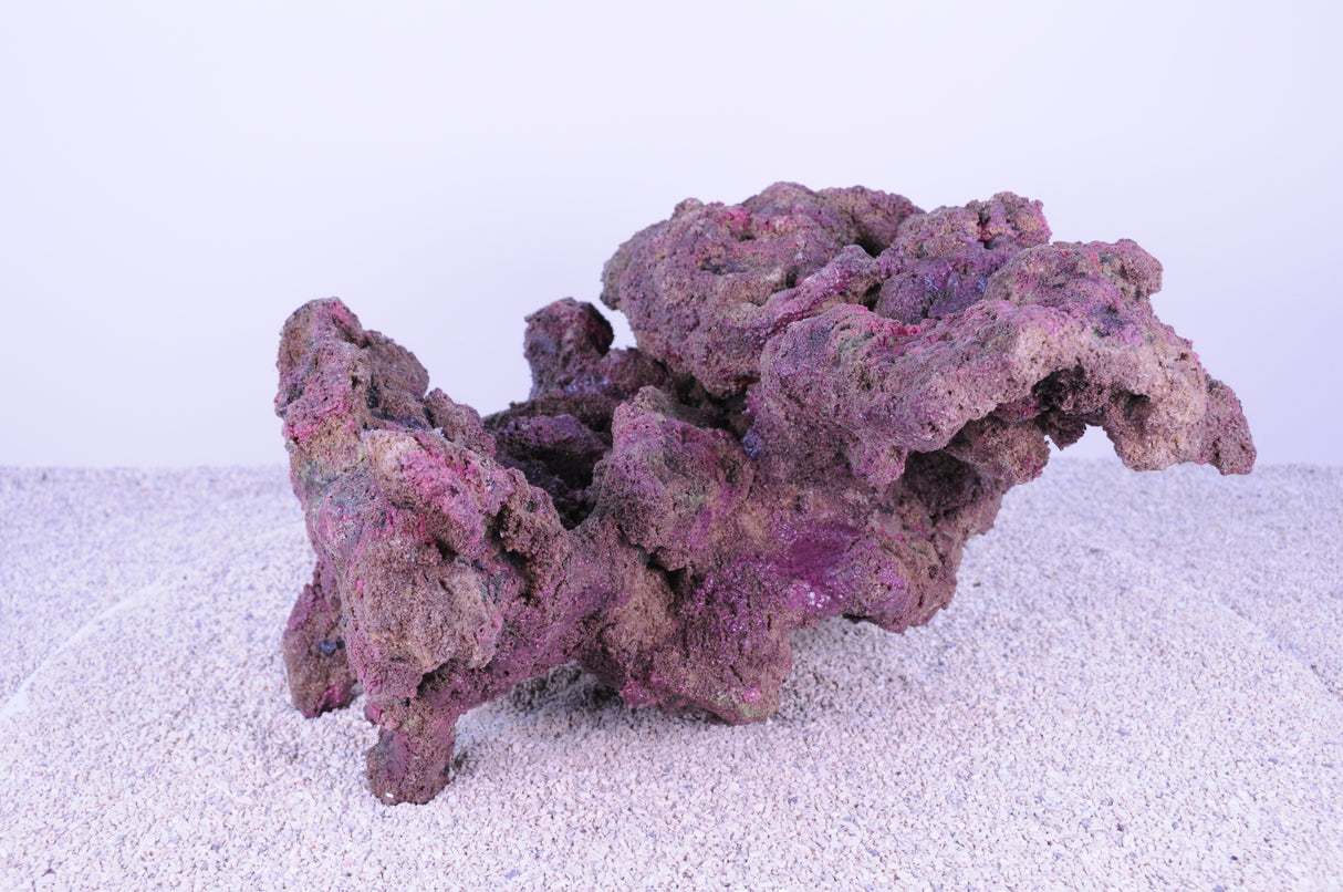 Indo Reef Large Box 2