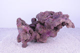 Indo Reef Large Box 2