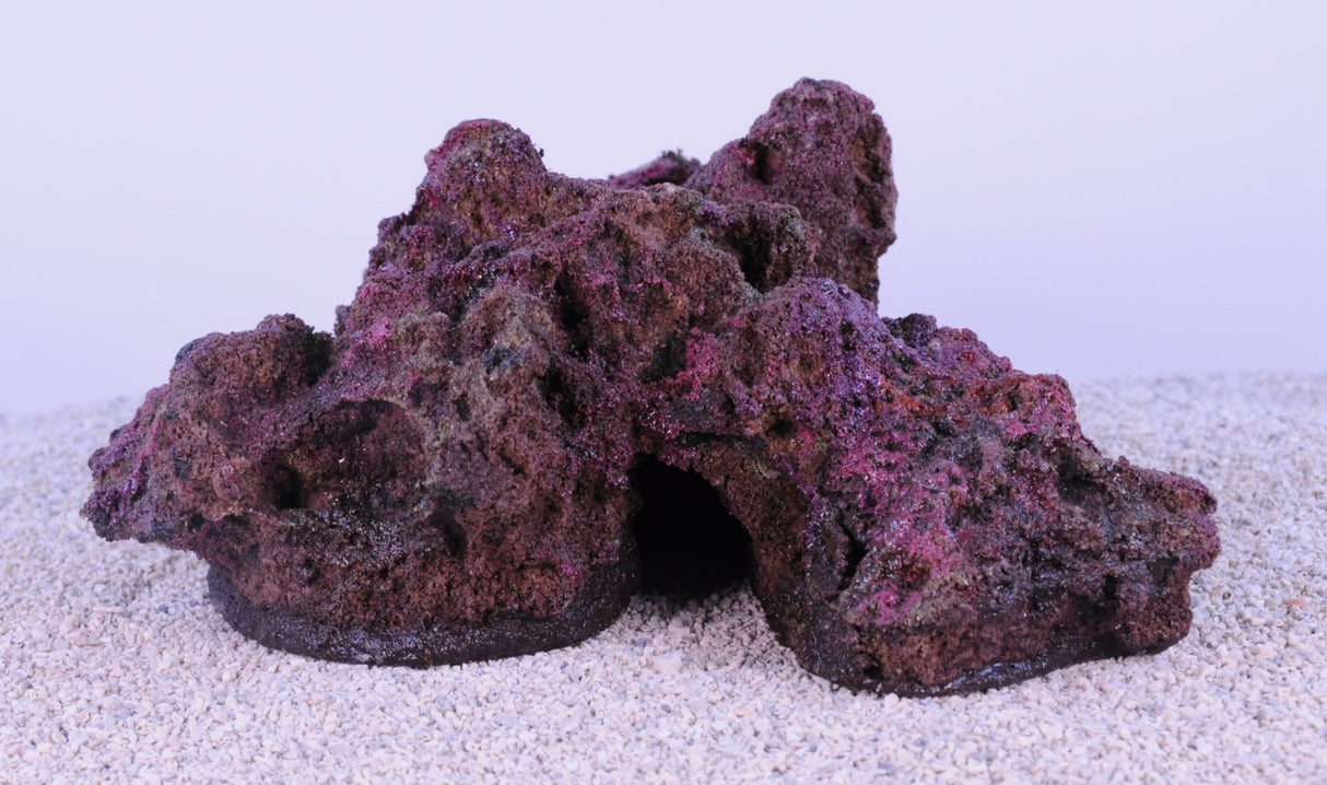 Indo Reef Gobie #10