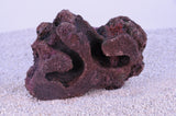 Indo Reef Gobie Box