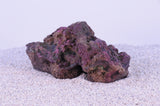Indo Reef Gobie Box