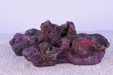 Indo Reef Gobie Box