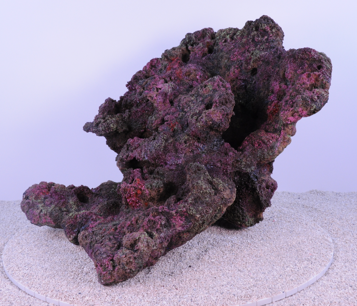 Indo Reef Special Box 1