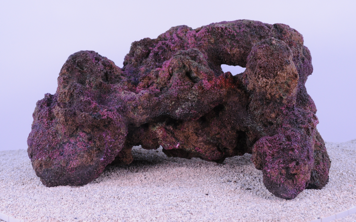 Indo Reef Special Box 2