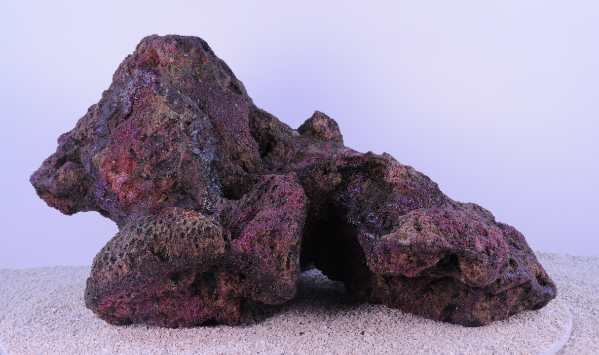 Indo Reef Special Box 2