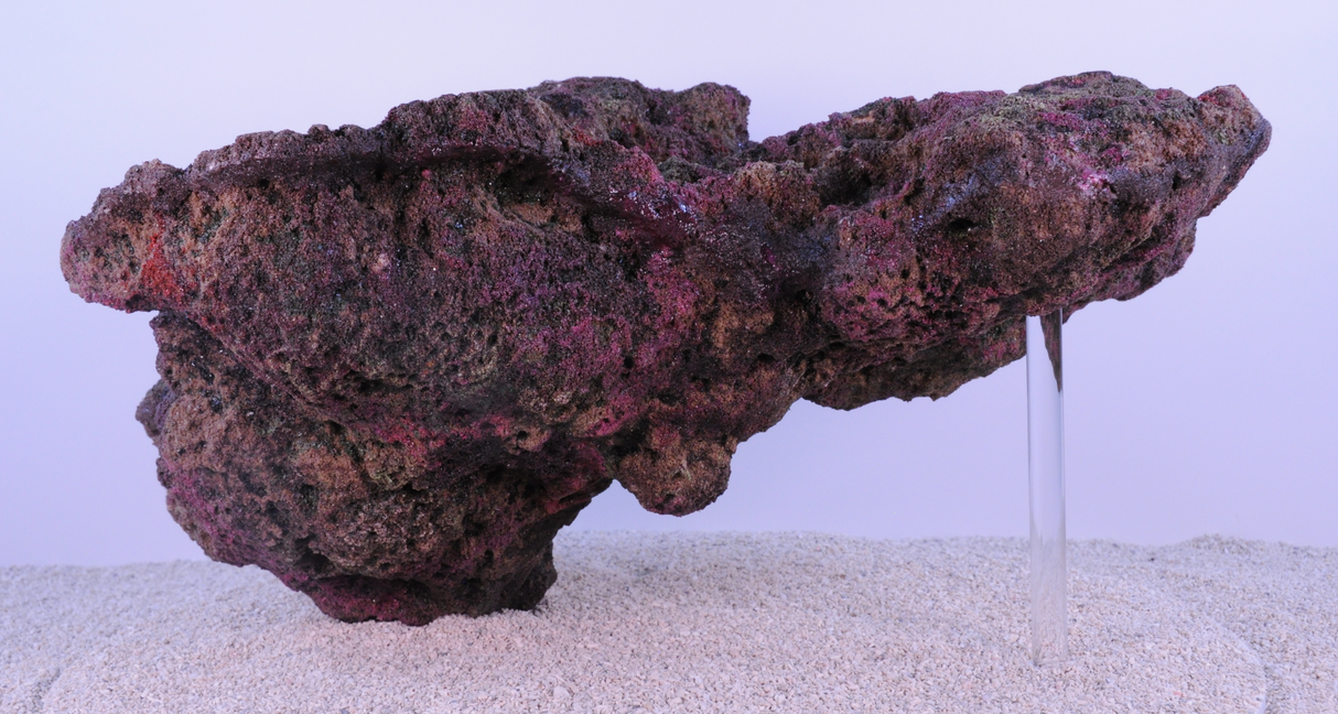 Indo Reef Special Box 2