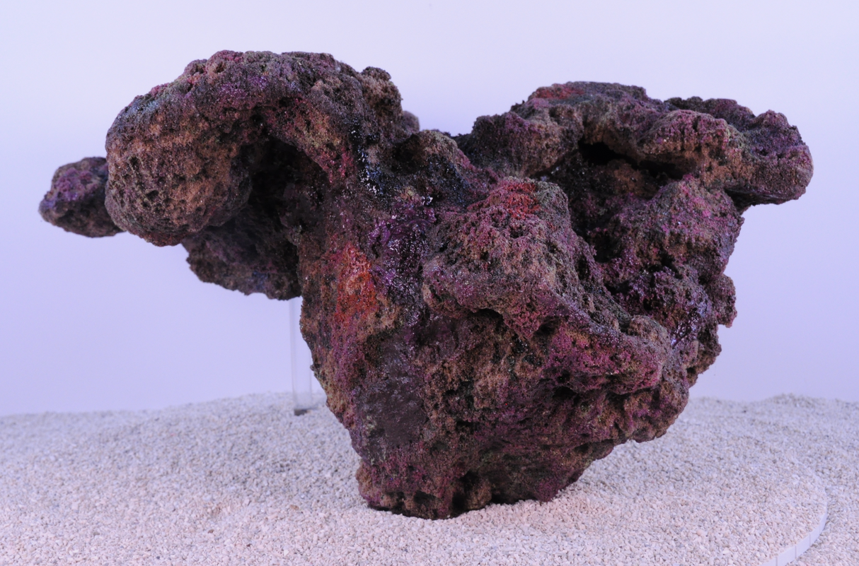 Indo Reef Special Box 2