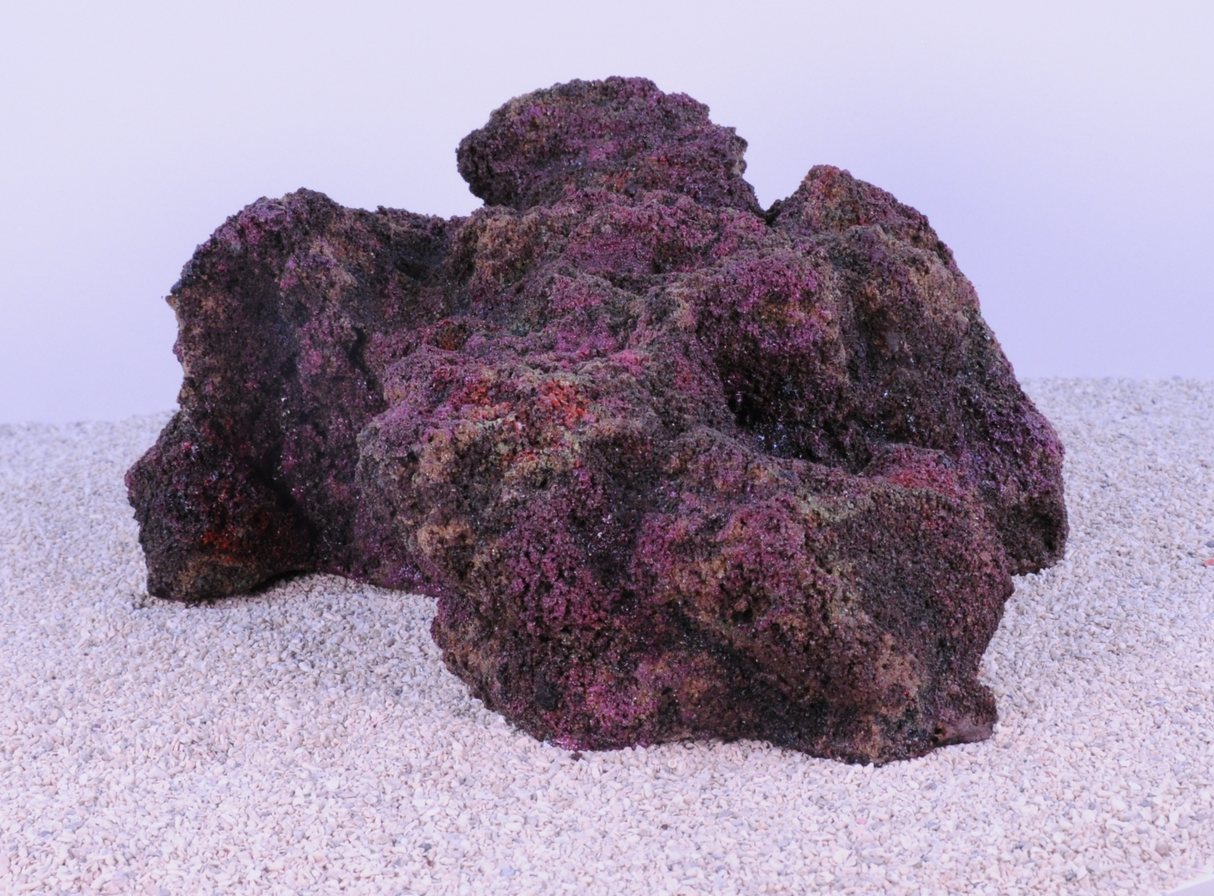 Indo Reef Special Box 1