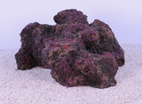 Indo Reef Special Box 1