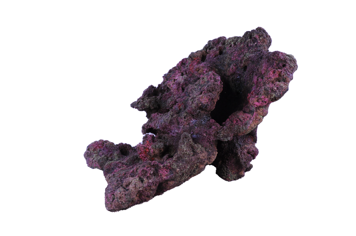 Indo Reef Special Box 1