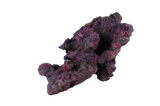 Indo Reef Special Box 1