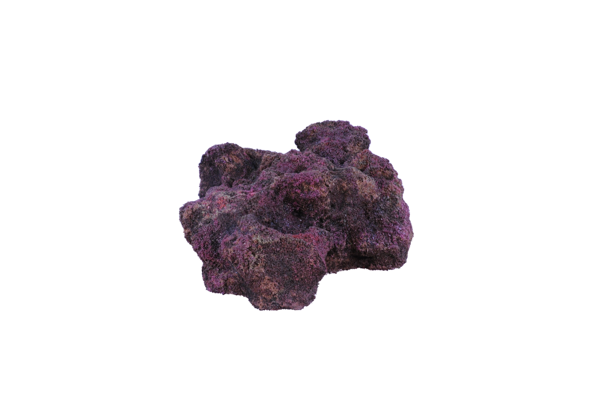 Indo Reef Special Box 1