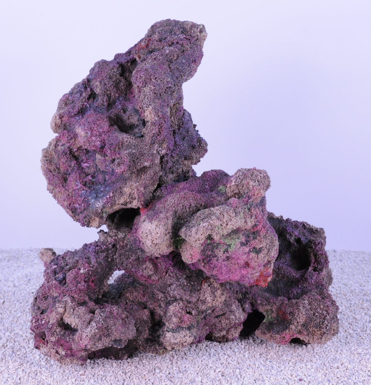 Indo Reef Large Box 2