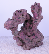 Indo Reef Large Box 2