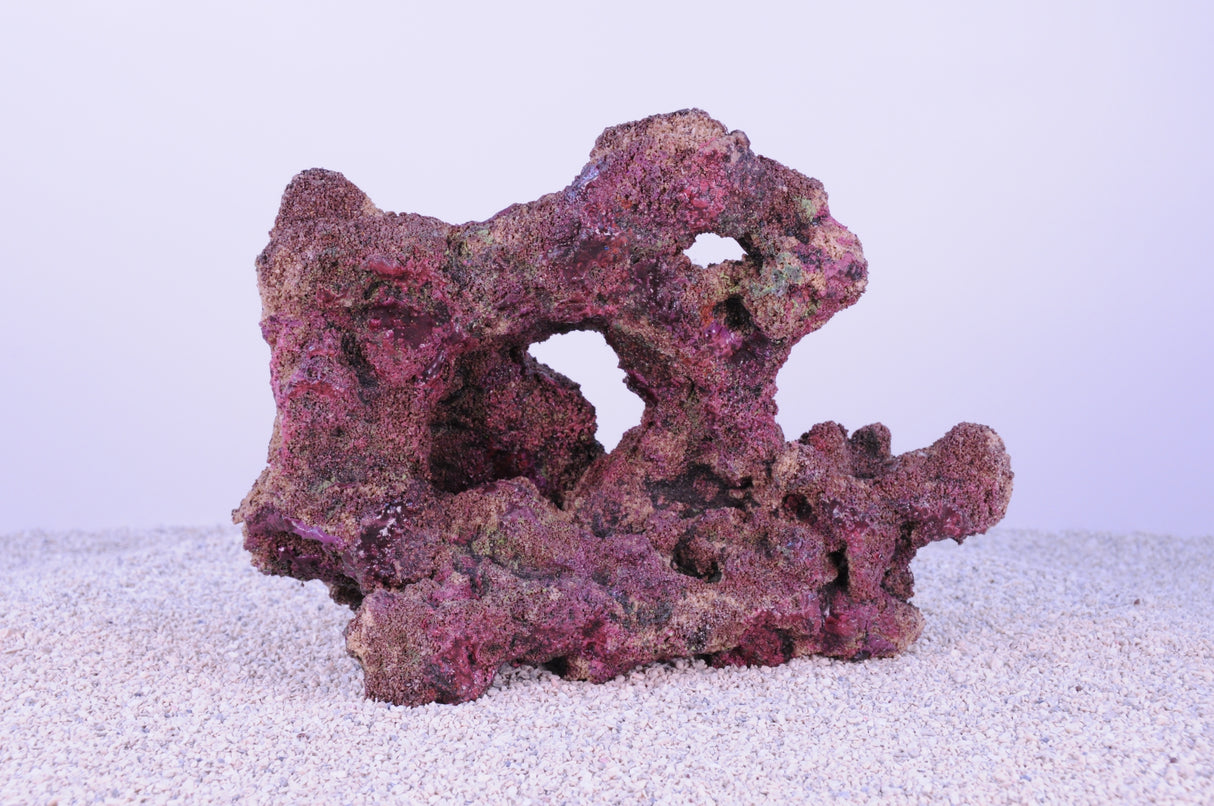 Indo Reef Box C