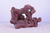 Indo Reef Box C