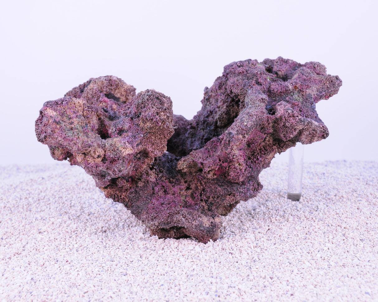 Indo Reef Box A