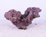Indo Reef Box A