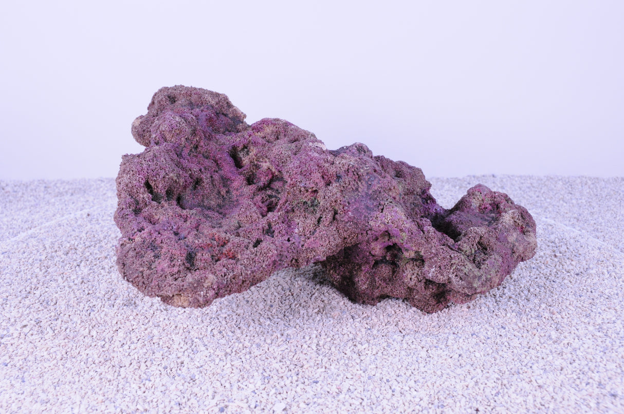 Indo Reef Box B