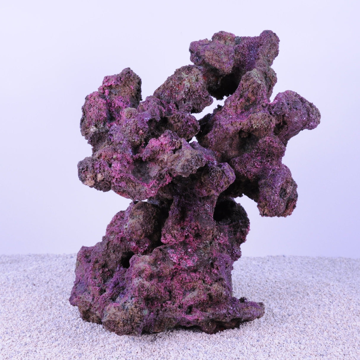 Indo Reef Box B