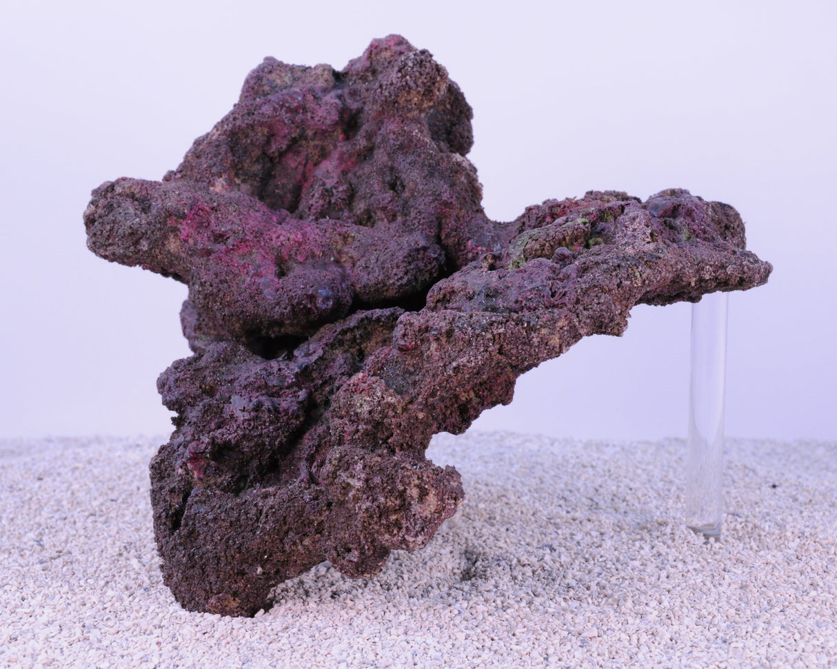 Indo Reef Box A