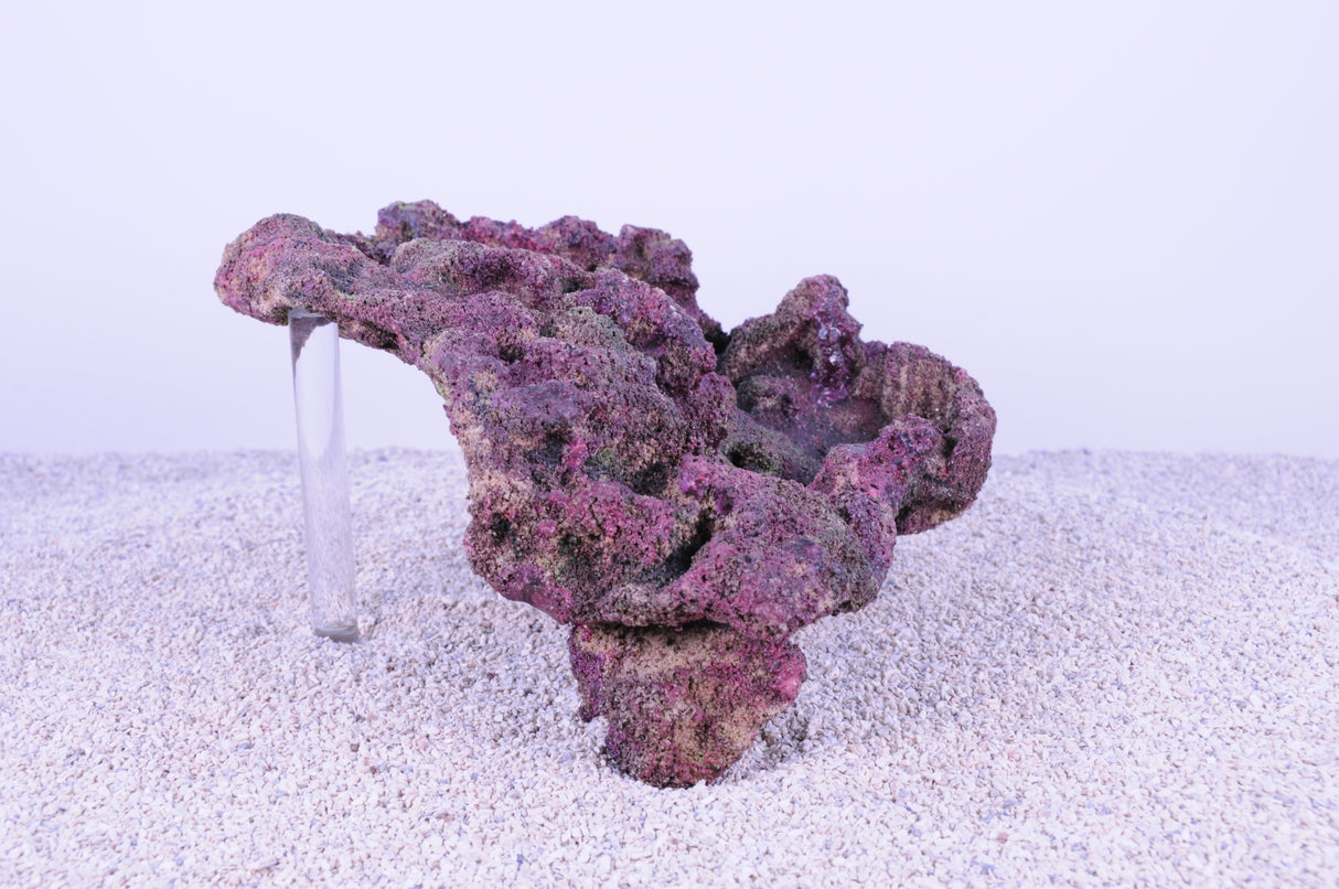 Indo Reef Box D