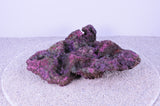 Indo Reef Box B