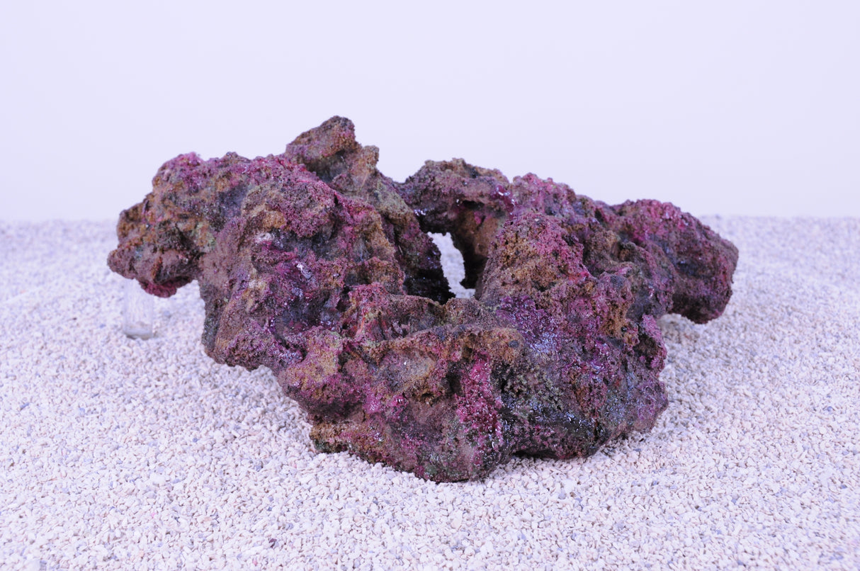 Indo Reef Box C