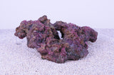 Indo Reef Box C