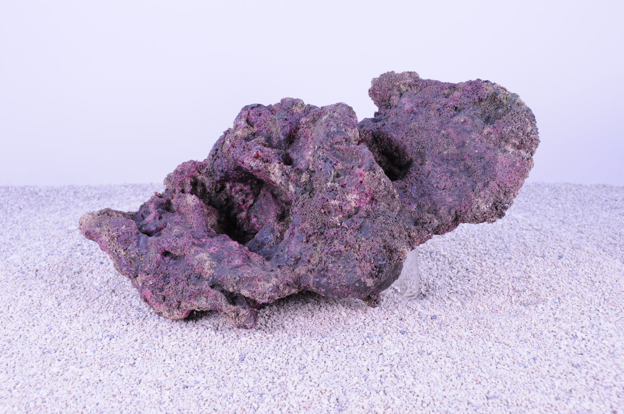 Indo Reef Box D