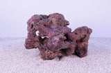 Indo Reef Box A