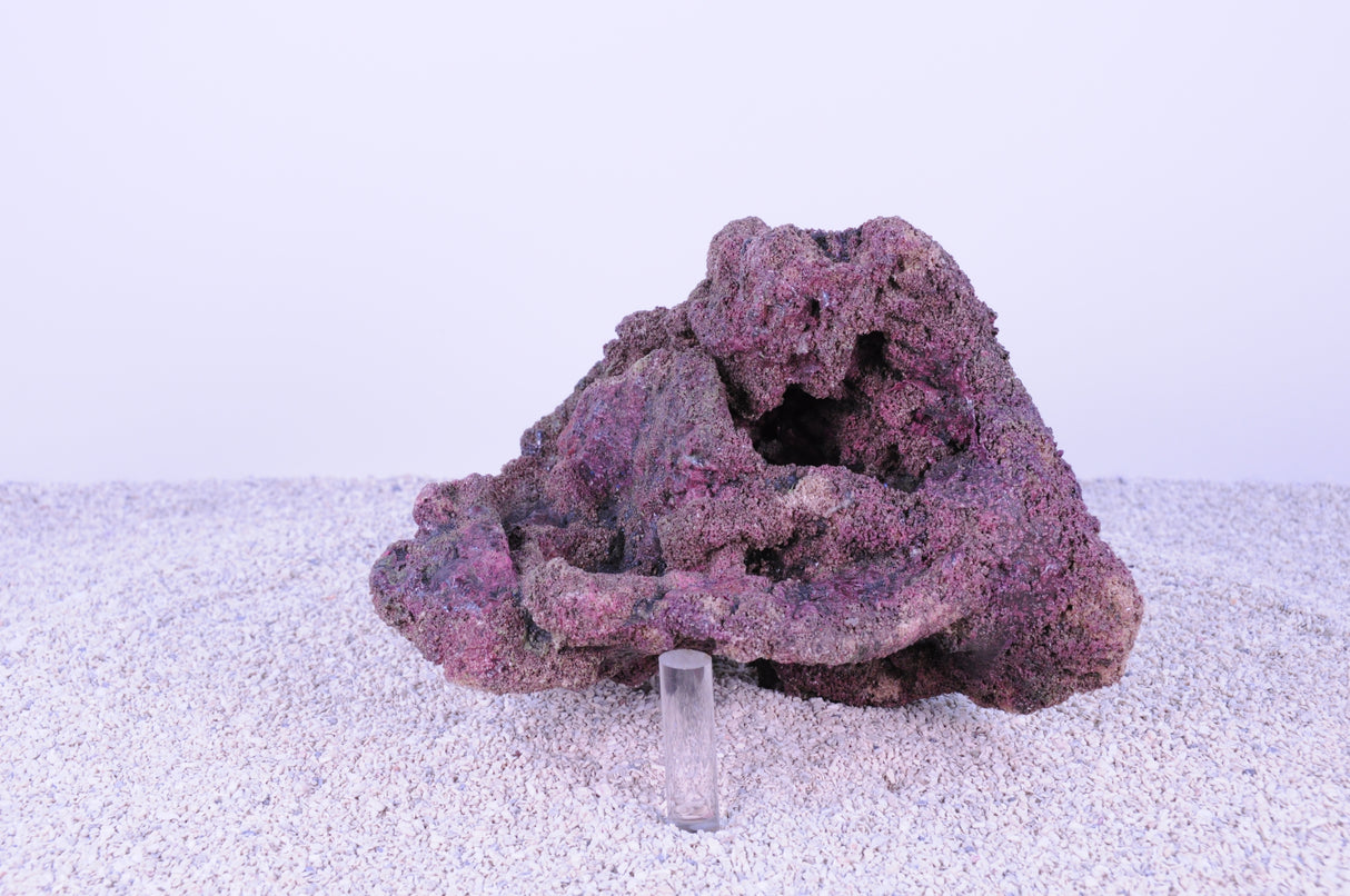Indo Reef Box C