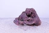 Indo Reef Box C