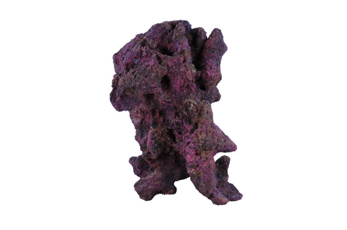 Indo Reef Special Box 2