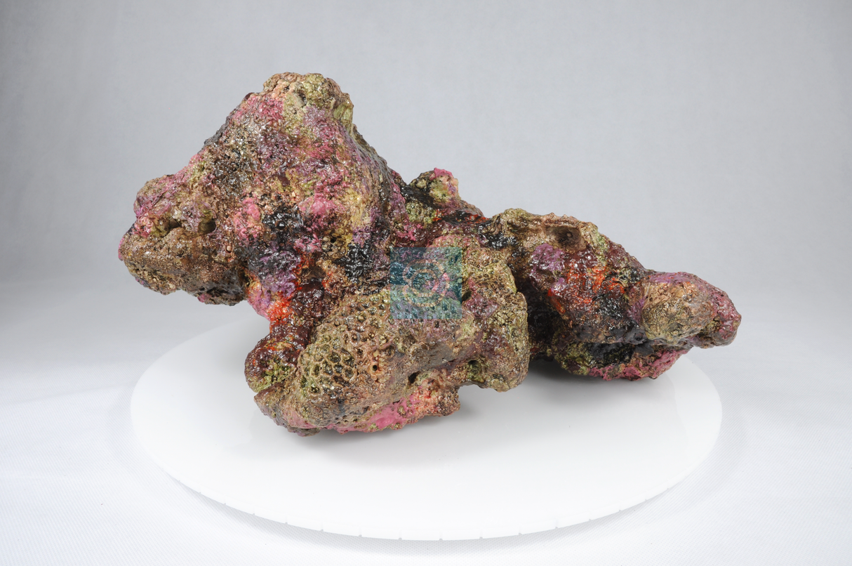 Live Rock Replica #24