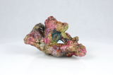 Live Rock Replica #31
