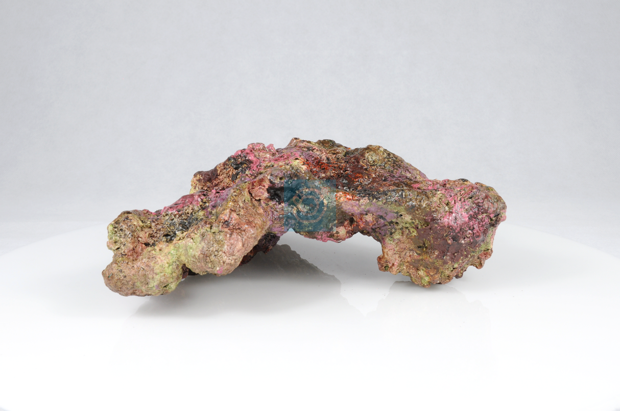 Live Rock Replica #50
