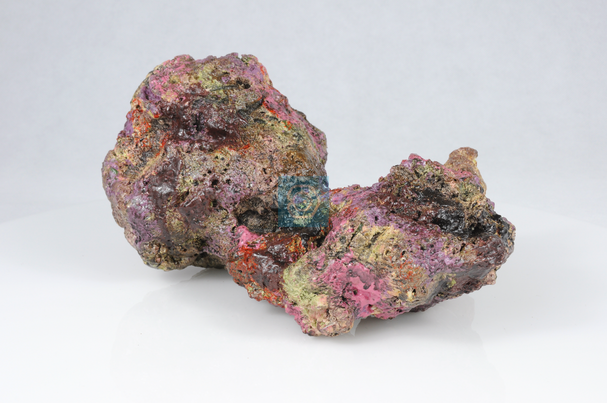 Live Rock Replica #51